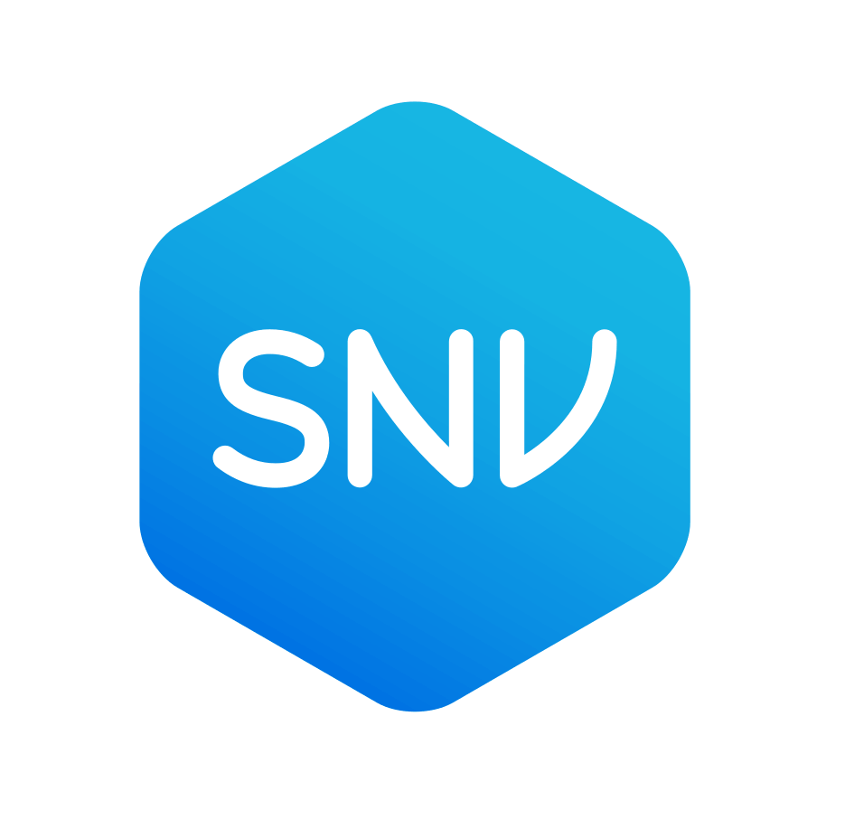 SNV - ClIMATEWORKS - SELCO - IWUMI - GIZ
